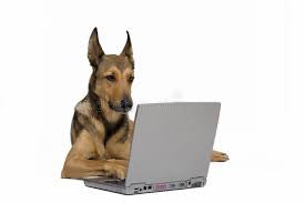 Virtual Dog Training