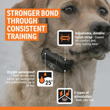 Remote Dog Training Collar Waterproof 500 Yard E Collar for Dogs