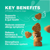 Probiotics for Dogs Gut Health Digestion Immunity Yeast Balance Itchy Skin Allergies Support   Dog Probiotic Chews with Digestive Enzymes for Gut Flora  Soft Treats with Pumpkin and Yeast Powder