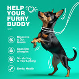 Probiotics for Dogs Gut Health Digestion Immunity Yeast Balance Itchy Skin Allergies Support   Dog Probiotic Chews with Digestive Enzymes for Gut Flora  Soft Treats with Pumpkin and Yeast Powder