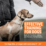 Remote Dog Training Collar Waterproof 500 Yard E Collar for Dogs