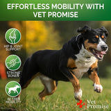 (2 Pack) Glucosamine for Dogs  240 Ct  Hip and Joint Supplement for Dogs