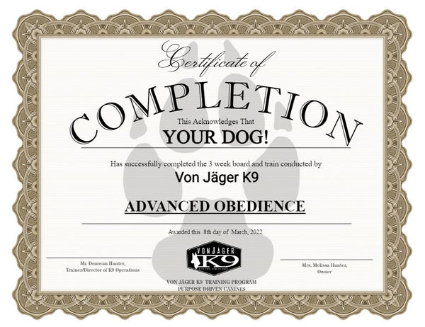 Dog Boarding Advanced Obedience Training Near Me Advanced
